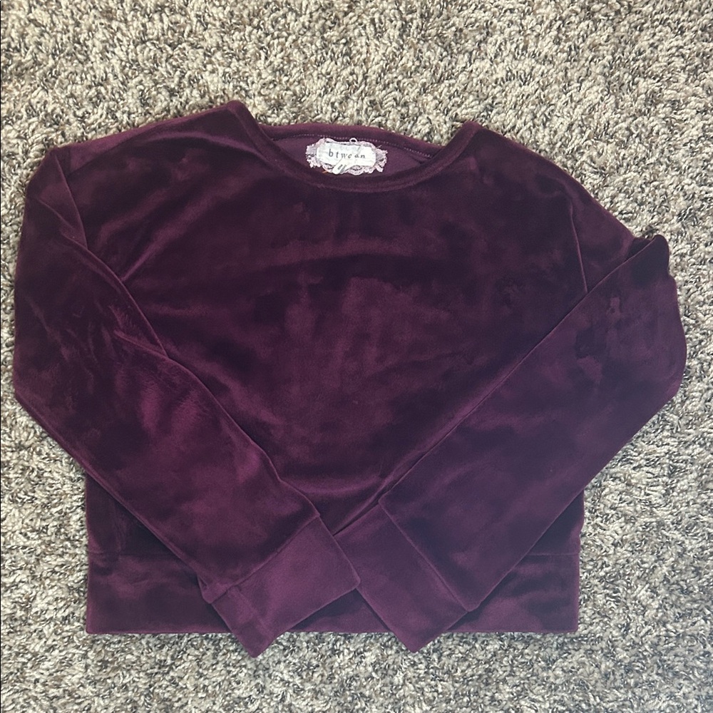 btween Deep Purple Velvet Sweatshirt